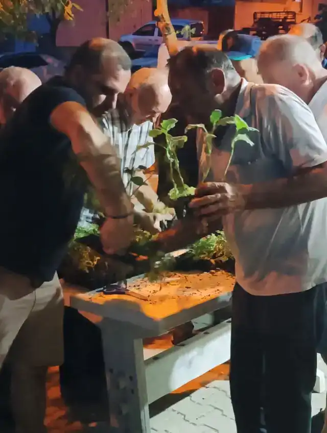 Ferhadanlı’da Dolu Mağduru Üreticilere Fide Desteği