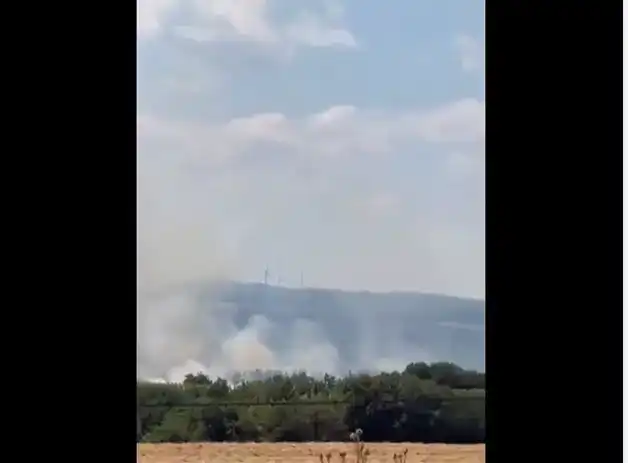 Şarköy'de Anız Yangını Ormanlık Alana Sıçradı
