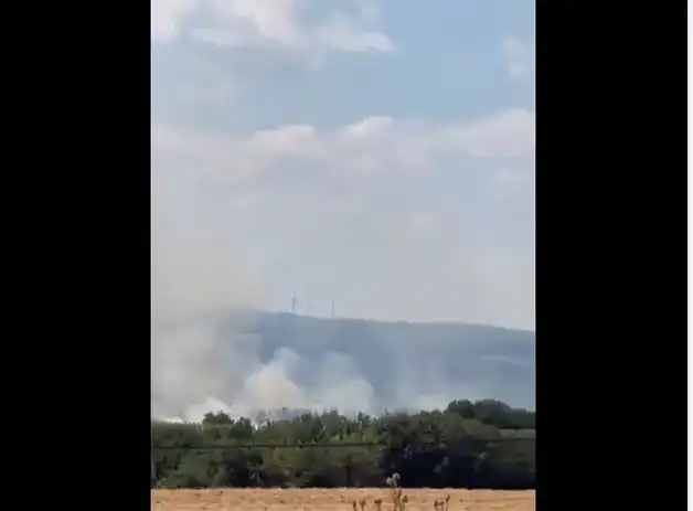 Şarköy'de Anız Yangını Ormanlık Alana Sıçradı