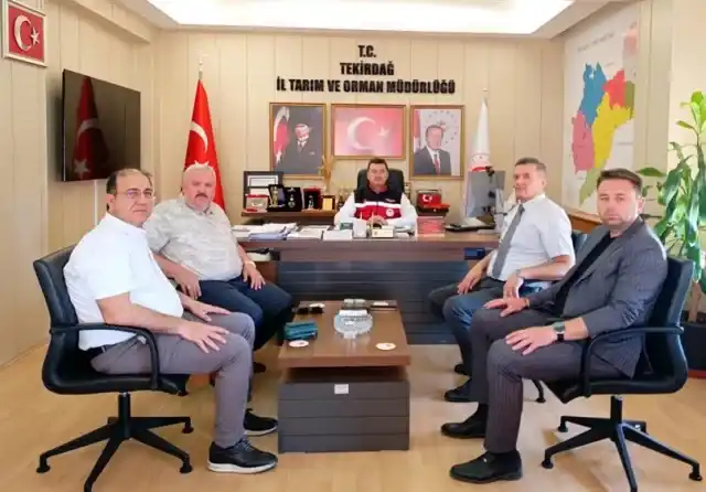 Ziyaret