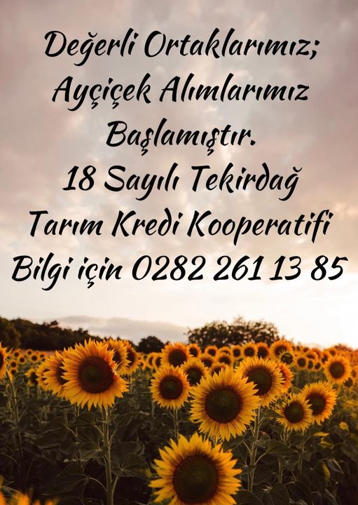 369693994_844594230677440_247343781207207394_n