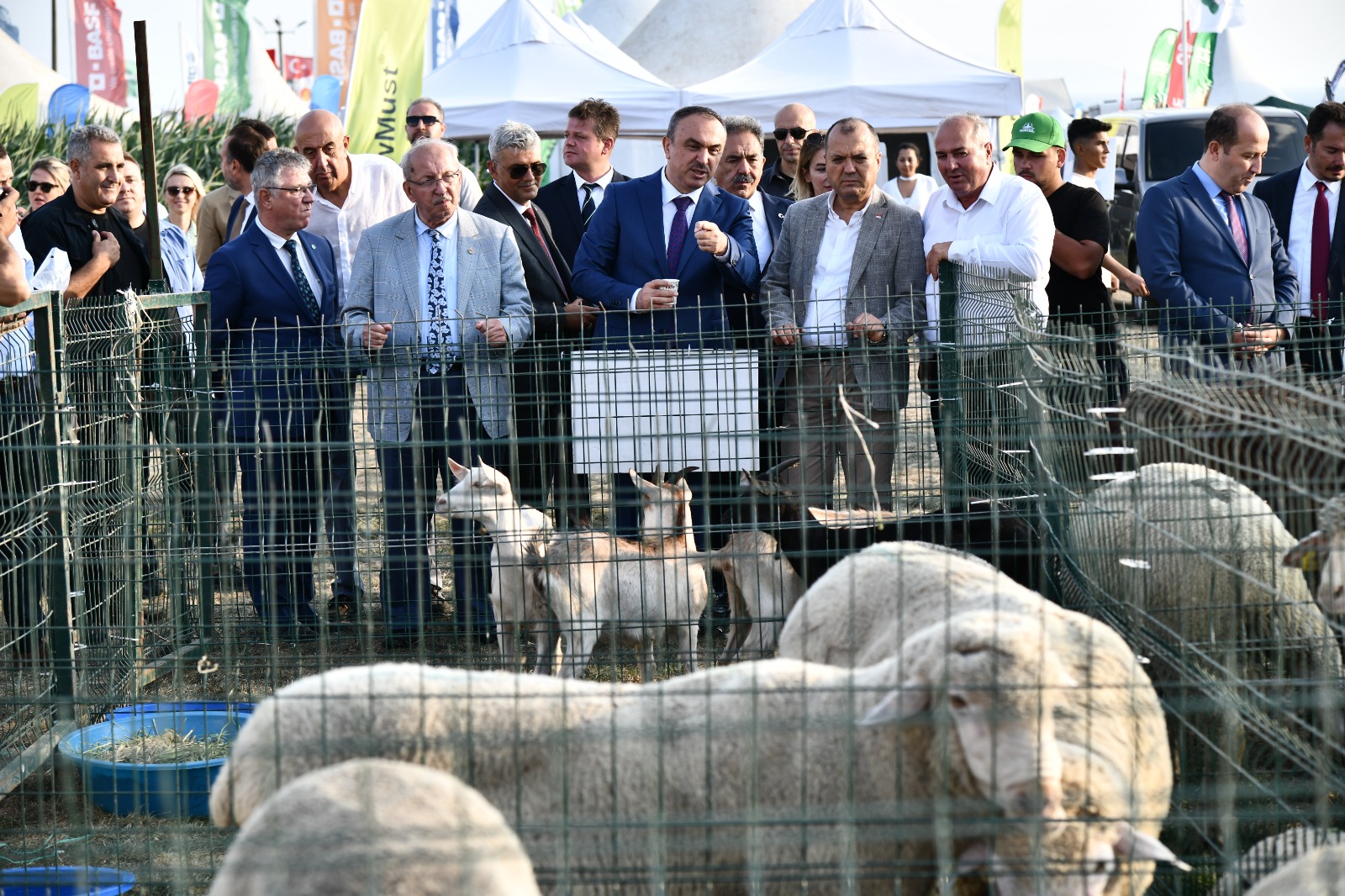 WhatsApp-Image-2023_09_06-at-192116