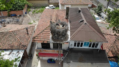 “Gelendost”, canlı yayınla takipte