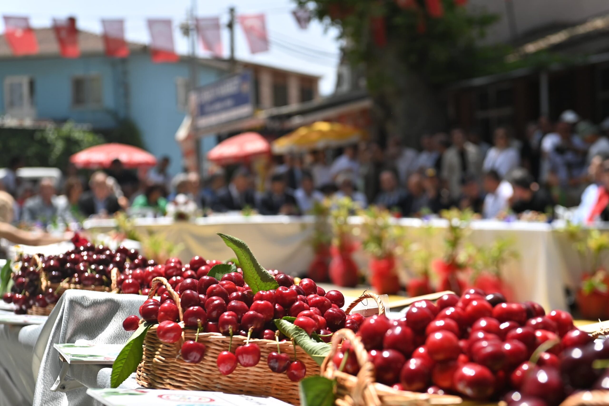 Süleymanpaşa’nın en güzel kirazları ödüllerine kavuştu