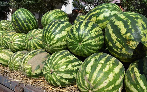 Ferhadanlı Karpuz Şenliği’nin 27-28 Temmuz 2024