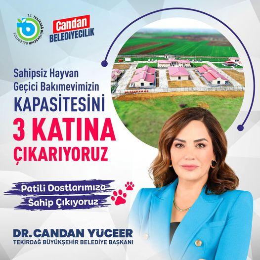 Başkan Dr. Candan Yüceer: Sokak hayvanları bizim can dostlarımızdır