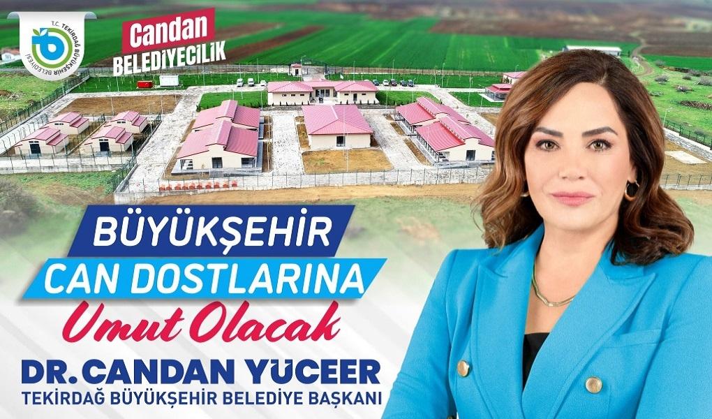 BÜYÜKŞEHİR CAN DOSTLARINA UMUT OLACAK