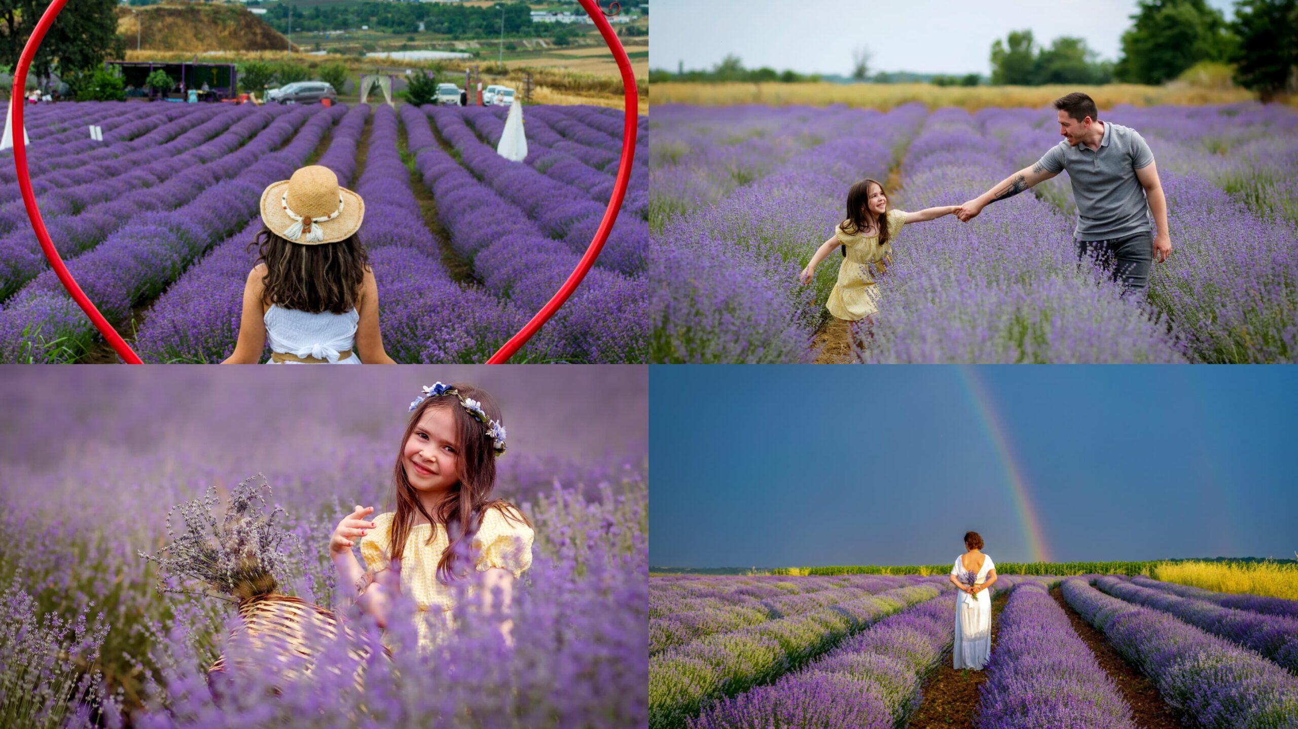 Lavanta Kokulu Tekirdağ fotoğraf yarışması kazananları belli oldu.