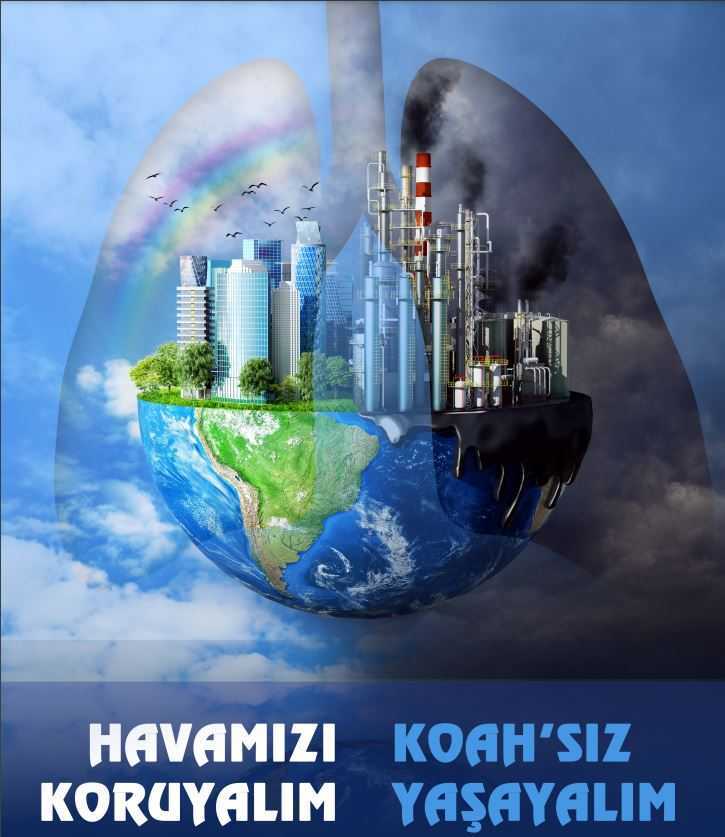 20 KASIM 2024 DÜNYA KOAH GÜNÜ BİLGİ NOTU