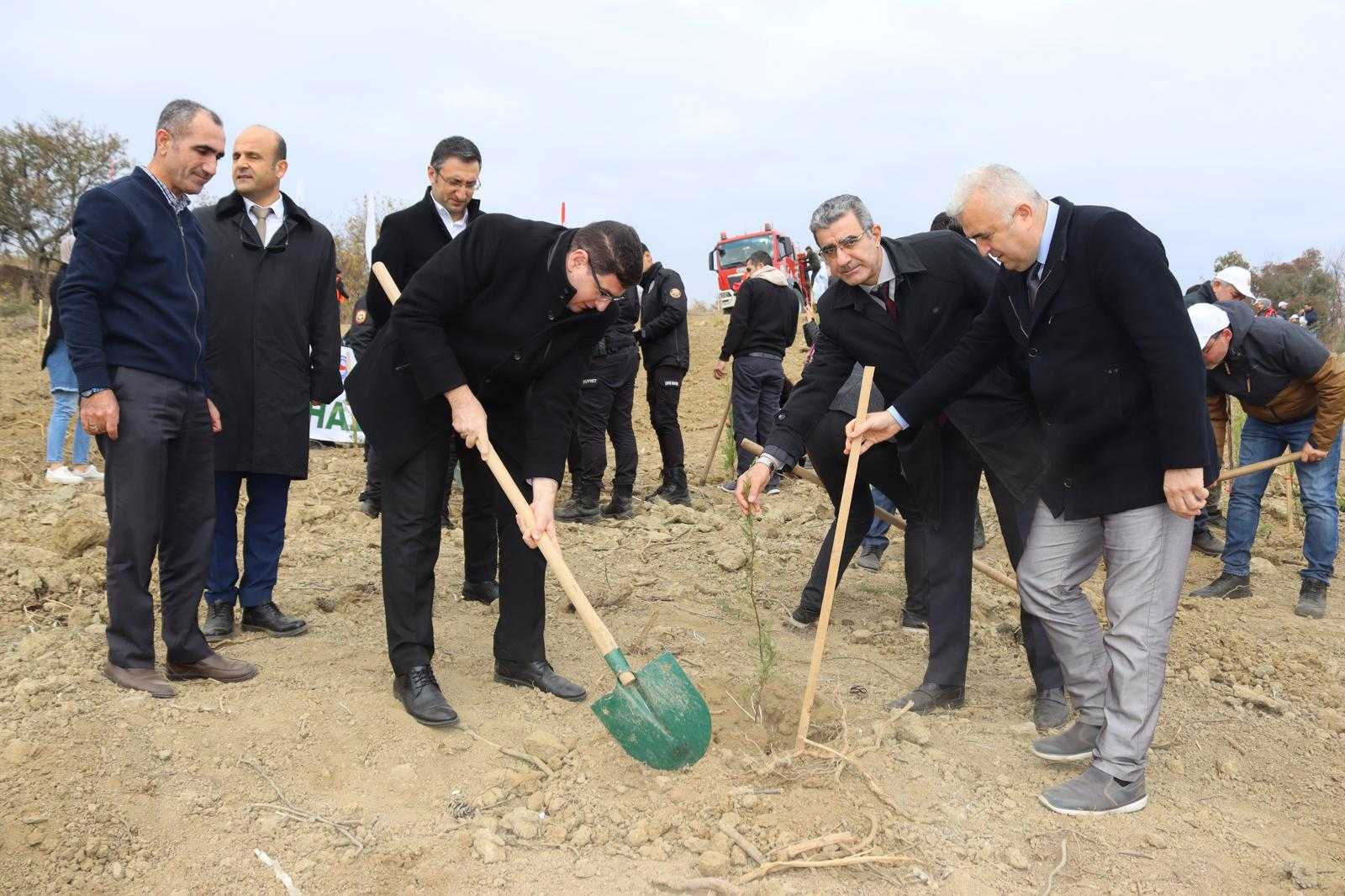 ORMAN HAFTASI FİDAN DİKİM ETKİNLİĞİ