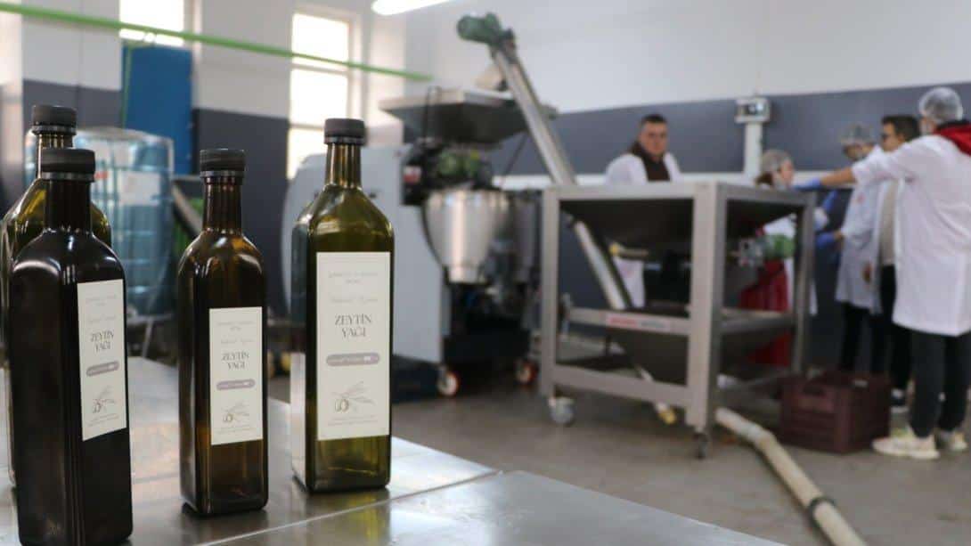 17 Kasım Mesleki ve Teknik Anadolu Lisesi Öğrencileri, Okul Bahçesinde Yetiştirdikleri Zeytinlerden Zeytinyağı Üretiyor