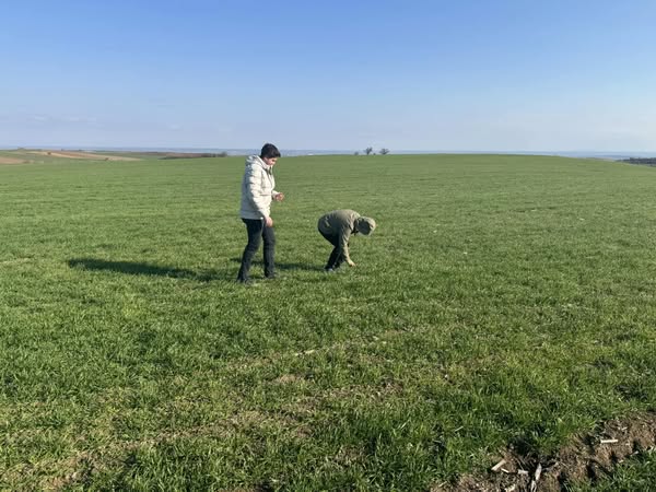 Hayrabolu zİRAAT oDASI bAŞKANLIĞI EKİPLERİ SAHADA !…