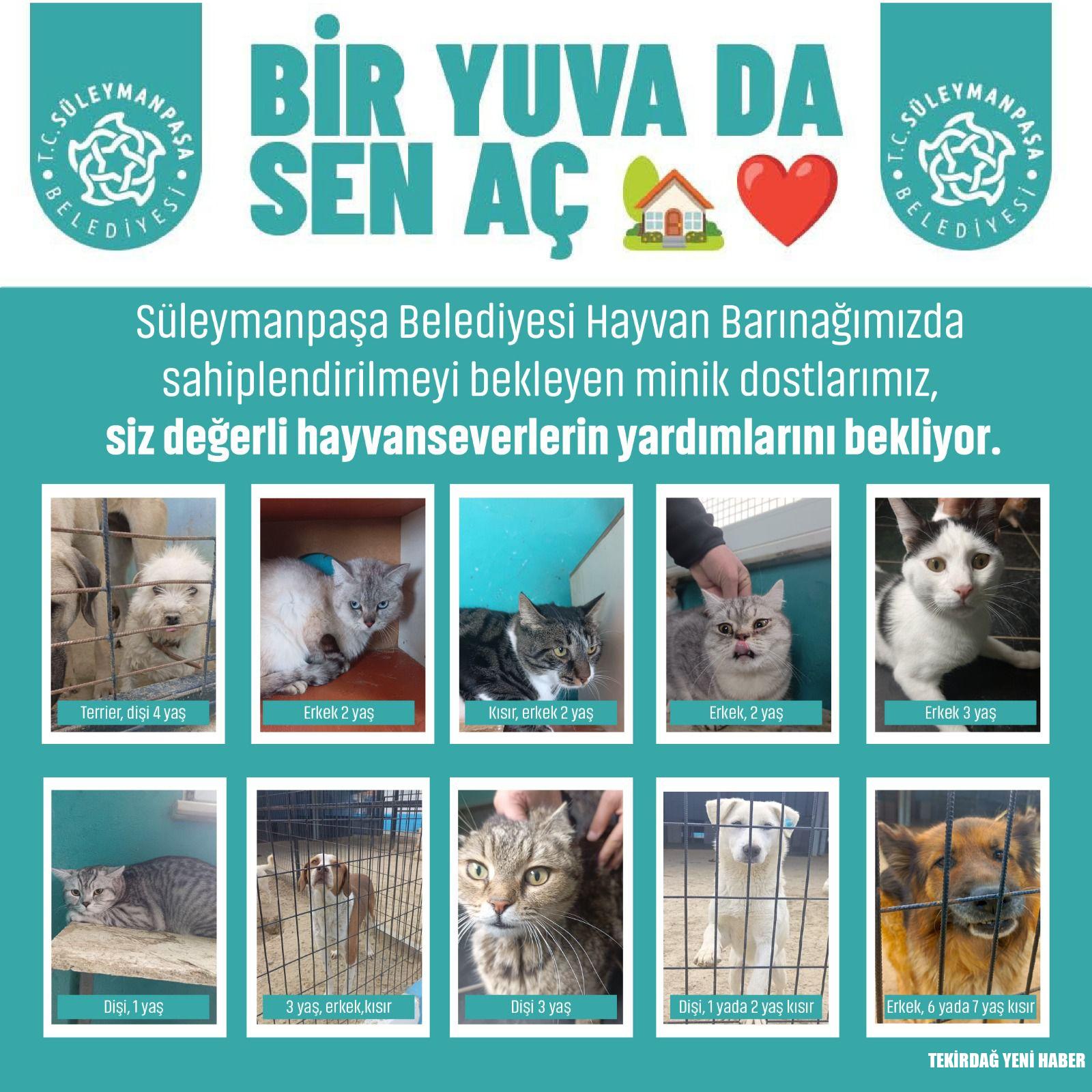 Süleymanpaşa Belediyesinden Anlamlı Çağrı