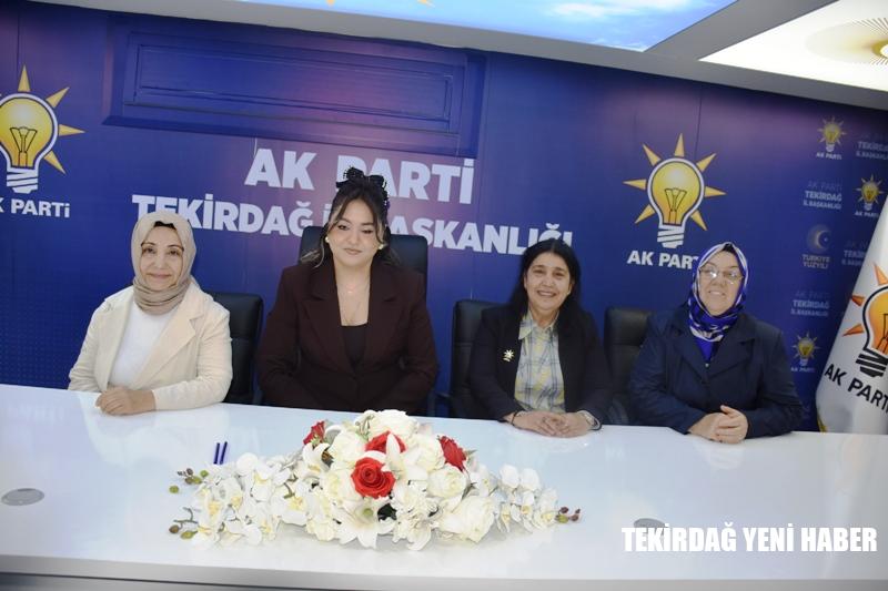 27 MAYIS 1960 DARBESİNE İLİŞKİN BASIN AÇIKLAMASI