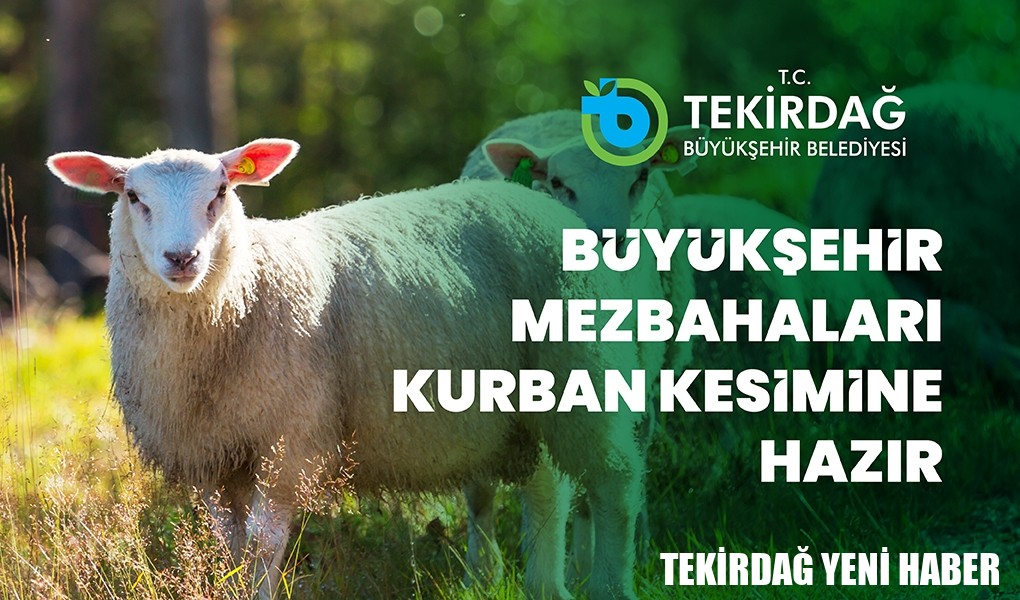 BÜYÜKŞEHİR MEZBAHALARI, KURBAN KESİMLERİNE HAZIR