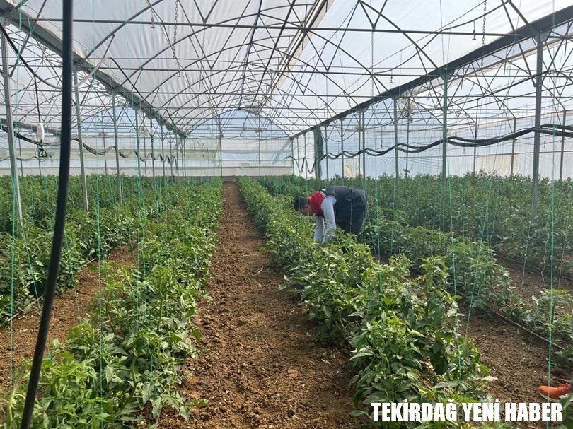 İl Müdürü Marmaraereğlisi İlçesinde Üreticileri Ziyaret Etti