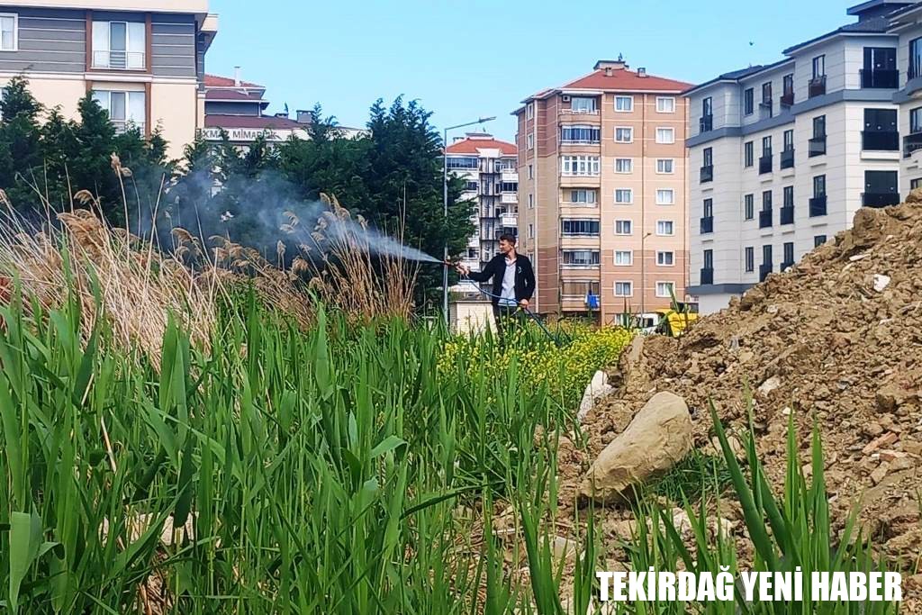 Süleymanpaşa Belediyesi’nden Sivrisineklere Karşı Vatandaşlara Çağrı