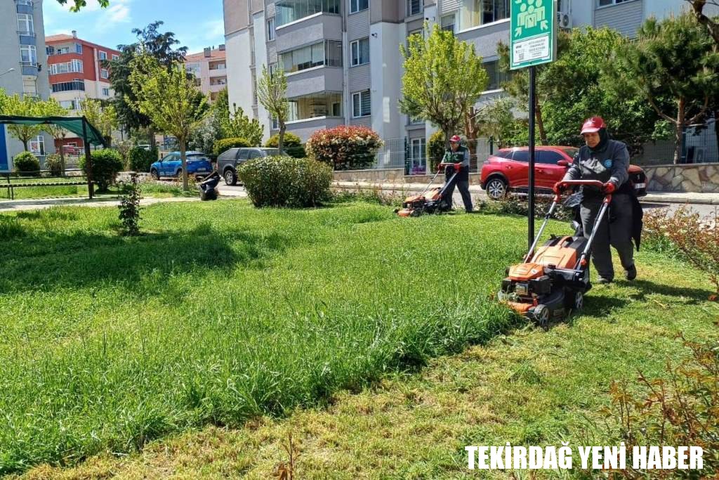 Süleymanpaşa Yaza Hazırlanıyor
