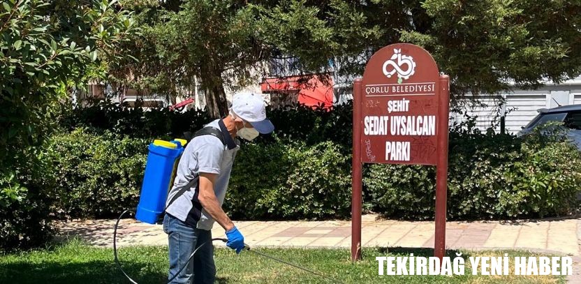 Çorlu Belediyesinden Keneyle Mücadele Çalışmaları