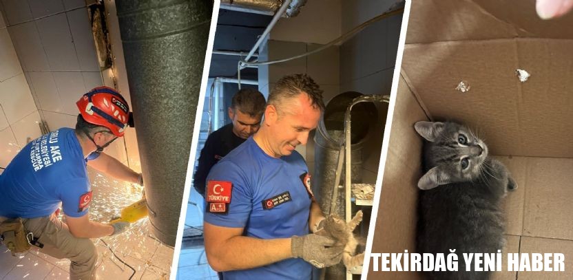 Havalandırma Boşluğuna Sıkışan Yavru Kediyi Çorlu AKE Kurtardı