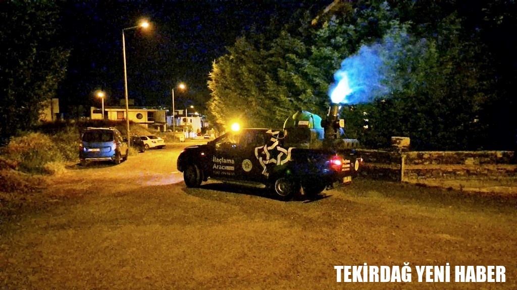 Sineklere Karşı Tek Tek Tüm Mahalleler İlaçlanıyor