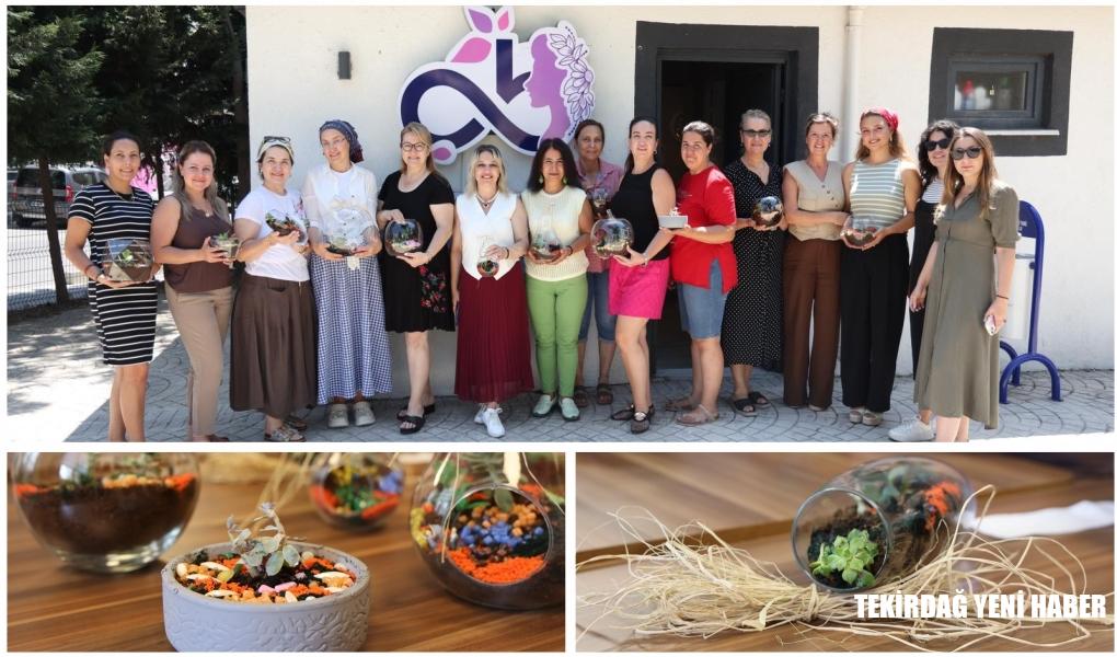 CAMIN İÇİNDE BİR DÜNYA: HAYALLERİN BAHÇESİ TERARYUM ATÖLYESİ