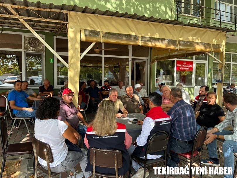 Anıza Ekim Ayçiçeği Tarla Günü Etkinliği Düzenlendi