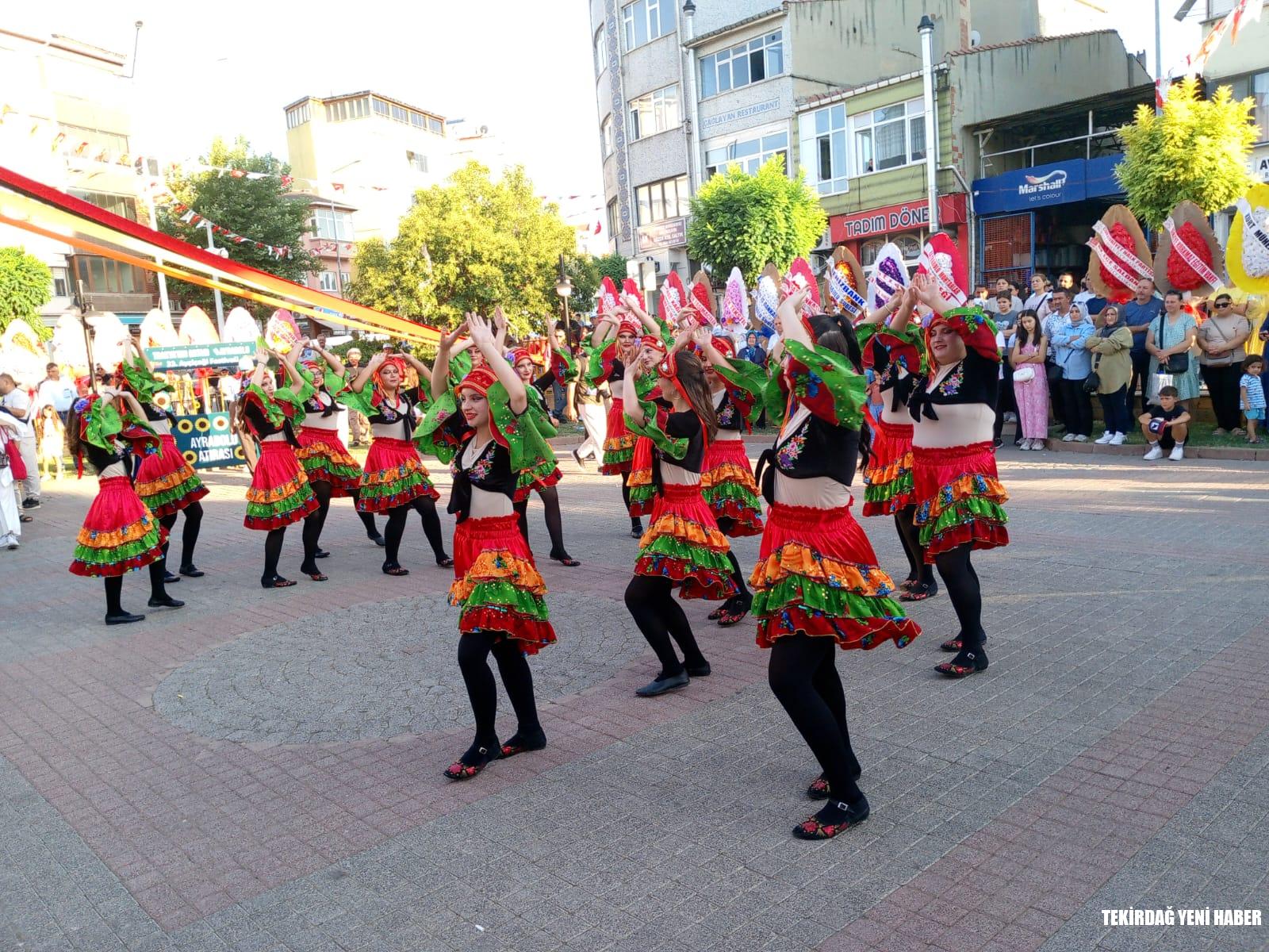 Ayçiçeği festivali başladı