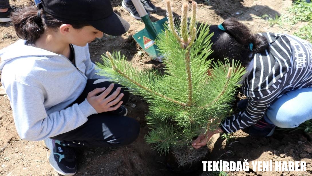 Bakan Tekin’in İmzasıyla İllere Giden 2025-2026 Eğitim ve Öğretim Yılına İlişkin İş ve İşlemler Konulu Genelge, Yayımlandı