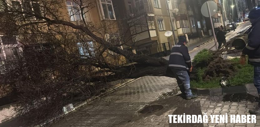 Çorlu Belediyesi Fırtınaya Karşı Teyakkuza Geçti