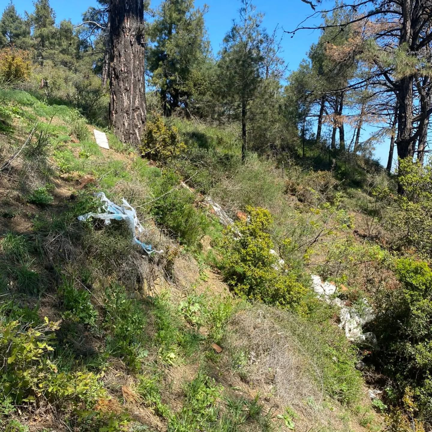 659699849_18061007726698226_8216318860424221096_n