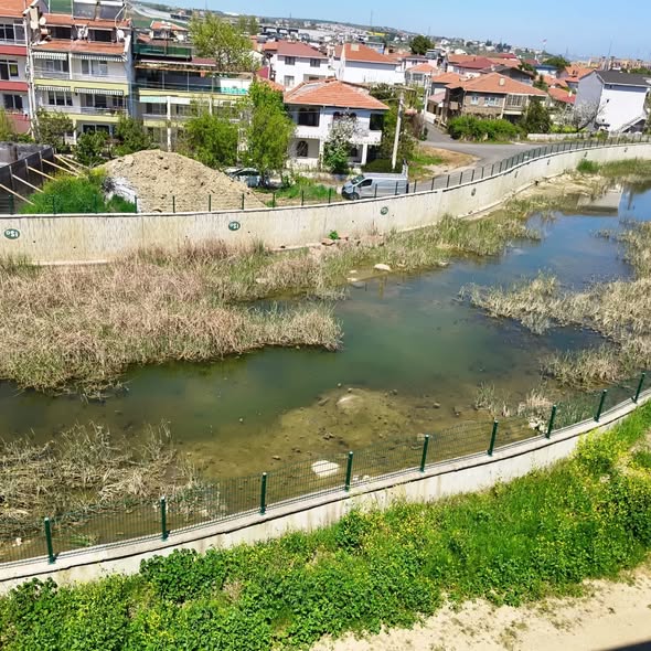 673792489_18061224371698226_7943712461292996352_n