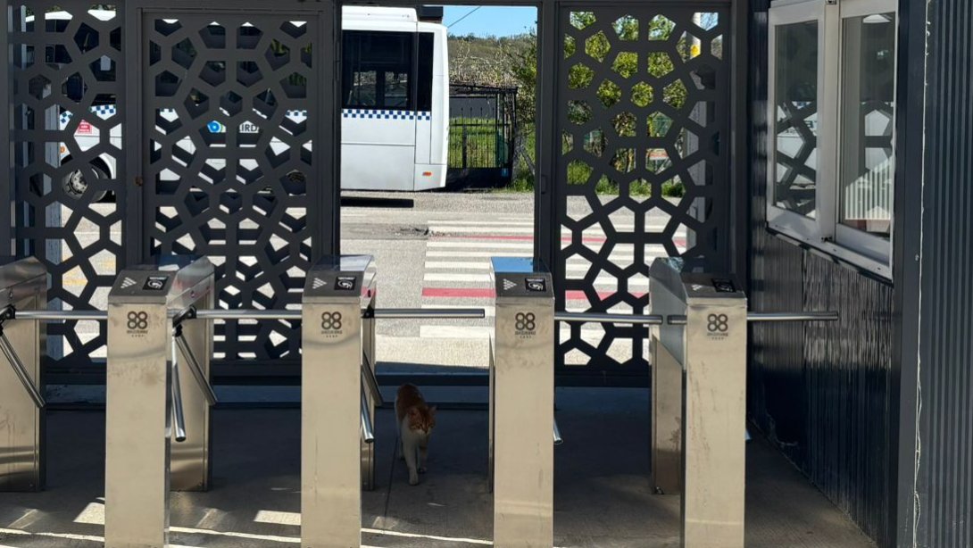 Çerkezköy TSO Trakya Anadolu Lisesi'nde Güvenlik ve Konfor Artırıldı