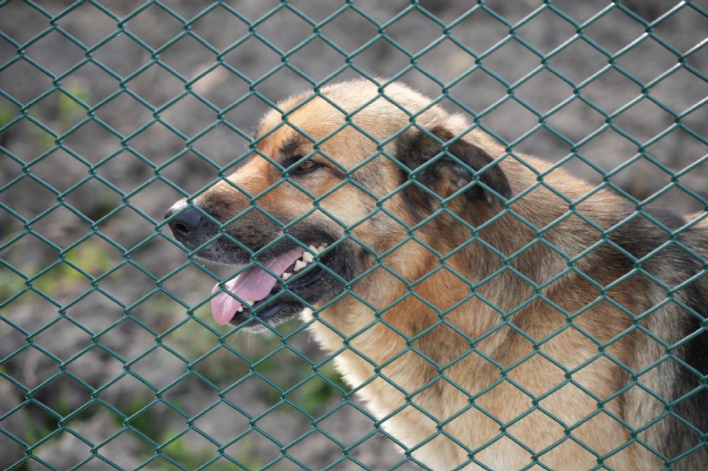 Doğal Yaşam Alanı İçin Geri Sayım Başladı