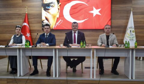 Meclis komisyon üyelerini belirledi
