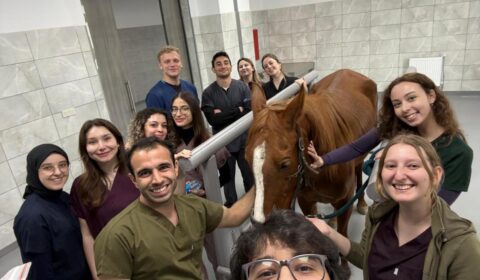 TRAKYA’DA AT SAĞLIĞININ YENİ ÜSSÜ: TNKÜ’DEN BÖLGEYE NİTELİKLİ HİZMET