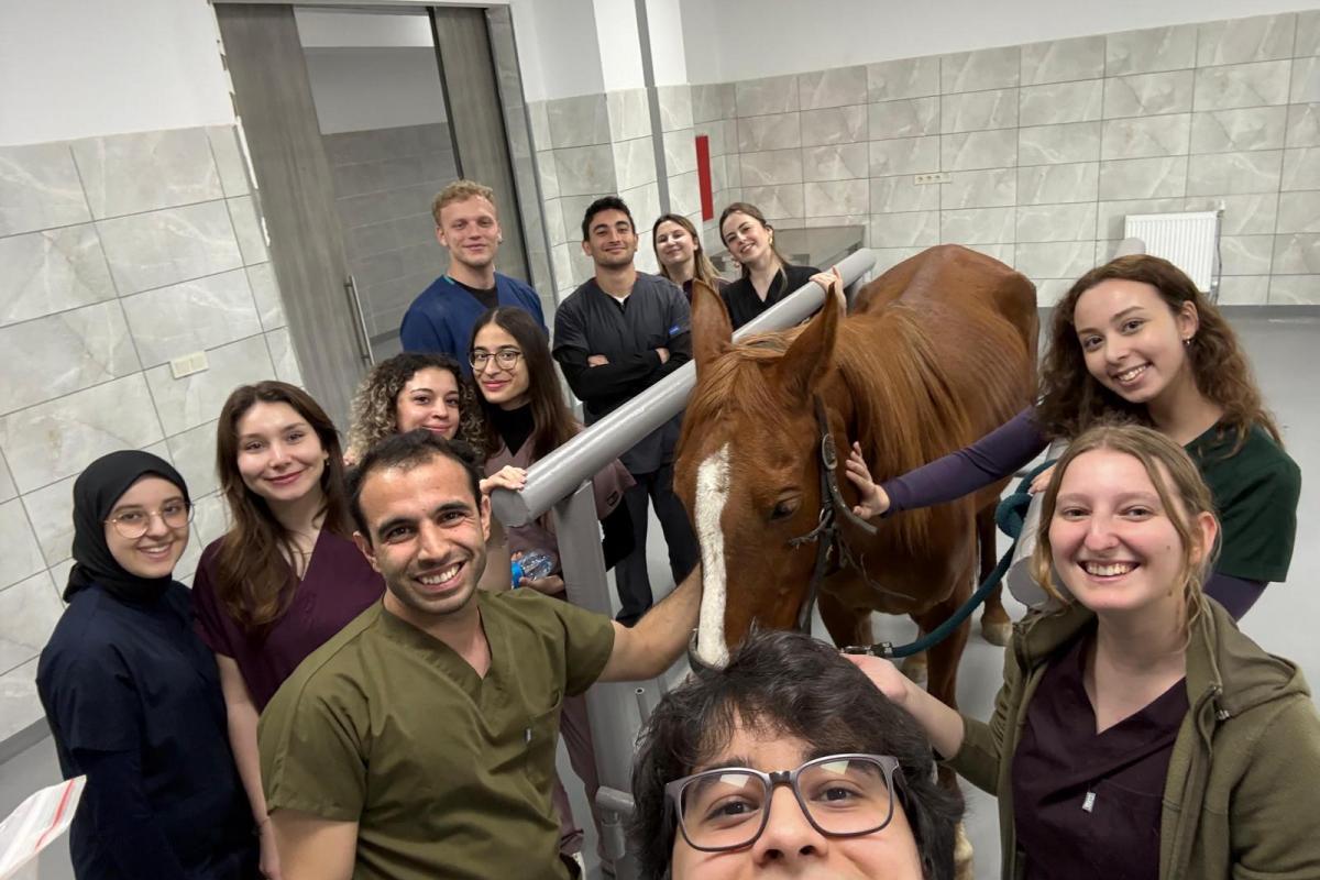 TRAKYA’DA AT SAĞLIĞININ YENİ ÜSSÜ: TNKÜ’DEN BÖLGEYE NİTELİKLİ HİZMET