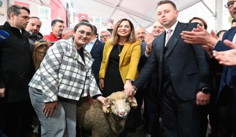 TRAKYA’NIN İLK KÜÇÜKBAŞ HAYVANCILIK FESTİVALİ MALKARA’DA COŞKUYLA BAŞLADI