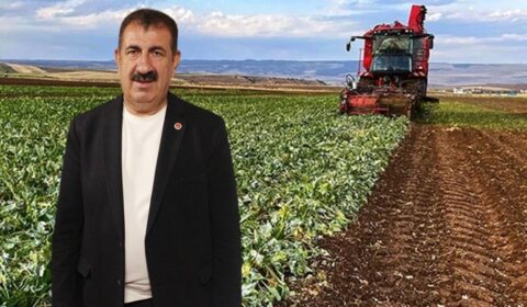 NİHAT ÇELİK