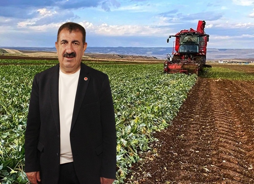 NİHAT ÇELİK