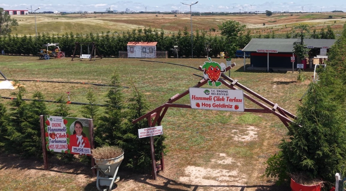 ERGENE’DE LAVANTA TARLAMIZ VE HANIMELİ ÇİLEK TARLAMIZDA KAPILARIMIZI AÇTIK!