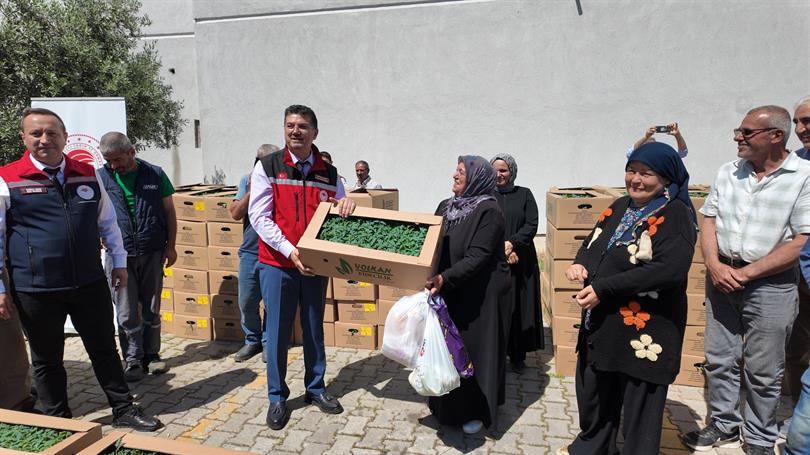 Tarım Arazilerinin Kullanımının Etkinleştirilmesi Projesi Kapsamında Yazlık Sebze Fidesi Dağıtımı Gerçekleştirildi