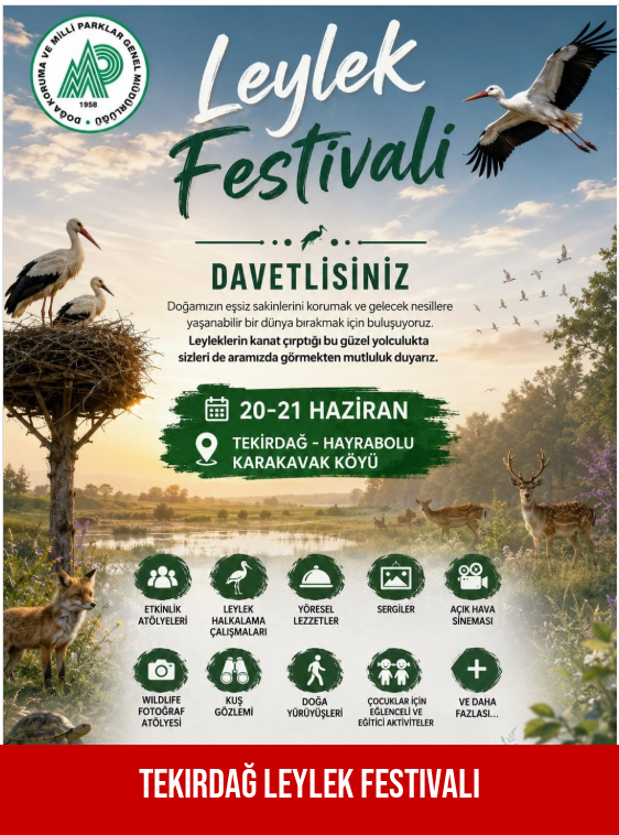 Tekirdağ Leylek Festivali