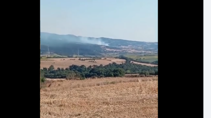Arazi Yangını Ormana Sıçradı