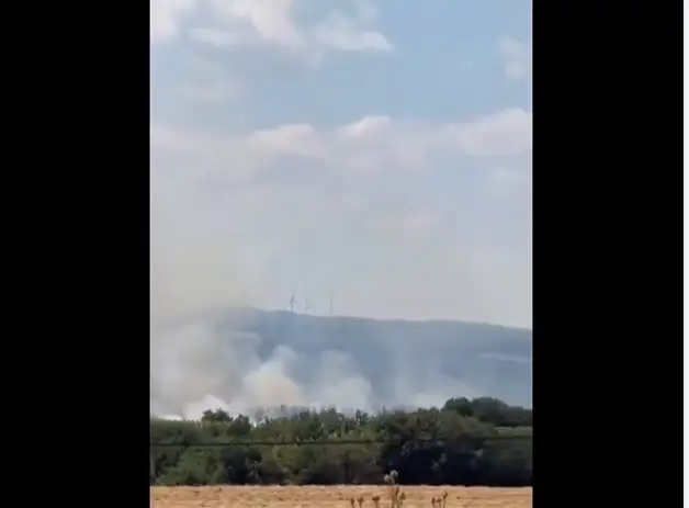 Şarköy’de Anız Yangını Ormanlık Alana Sıçradı