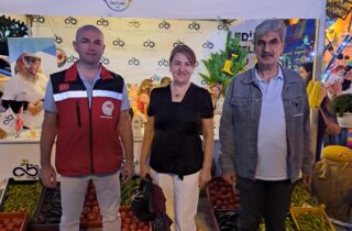 15. Uluslararası Kültür, Sanat ve Spor Festivali Kavun Şenliği Düzenlendi