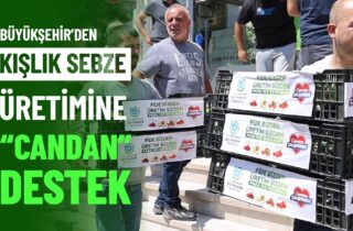 BÜYÜKŞEHİR'DEN KIŞLIK SEBZE ÜRETİMİNE "CANDAN" DESTEK