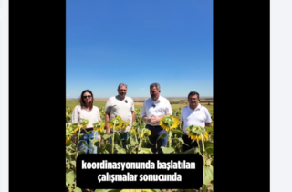 mestan-ozcan-yerli-tohumda-buyuk-basari-elde-edildi