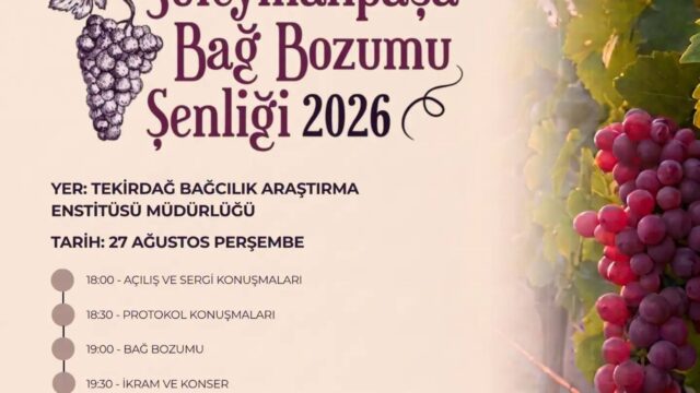 Bağ Bozumu Şenliği Başlıyor