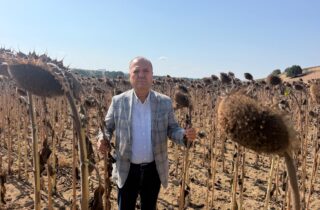 TÜRK ÇİFTÇİSİ İTHALAT LOBİSİNE YEM EDİLDİ